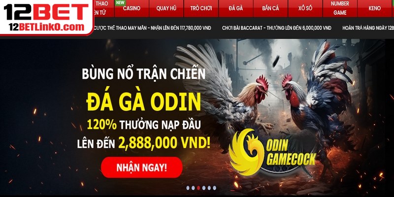 Đại lý cần theo dõi và chăm sóc từng người để họ hoạt động ổn định