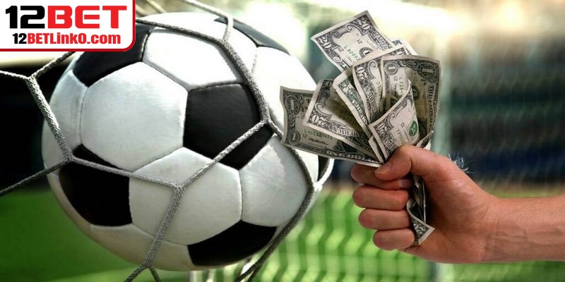 Người chơi mới cá cược nên hạn chế đánh nhiều cửa cùng lúc